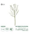 GloboStar® Artificial Garden BIG SPROUT BLOSSOM BRANCH 21461 Τεχνητό Διακοσμητικό Κλαδί Πράσινο Λάχανο Y150cm